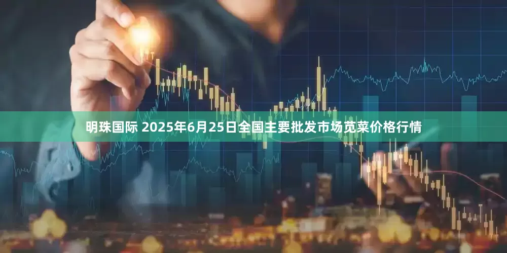 明珠国际 2025年6月25日全国主要批发市场苋菜价格行情